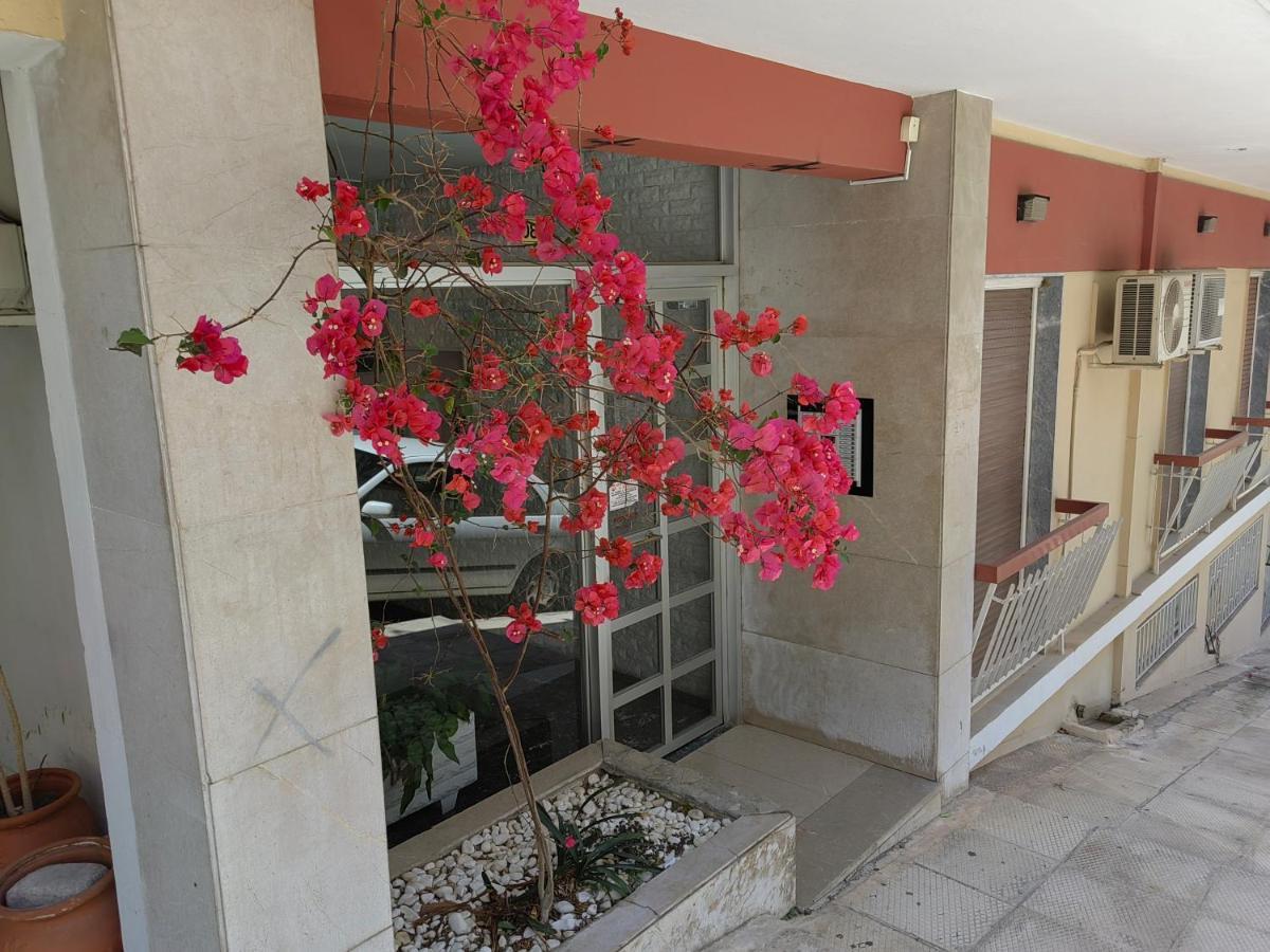 דירות אתונה Pagrati Nest מראה חיצוני תמונה